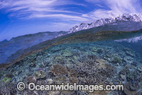 Wave over Reef Fiji Photo - David Fleetham