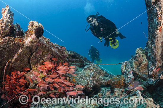 Divers with underwater scooters explore a WW II landing craft off the coast of South Maui, Hawaii. USA. Photo - David Fleetham Divers with underwater scooters explore a WW II landing craft off the coast of South Maui, Hawaii. USA. Photo - David Fleetham
