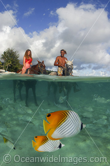 Horseriding on beach photo