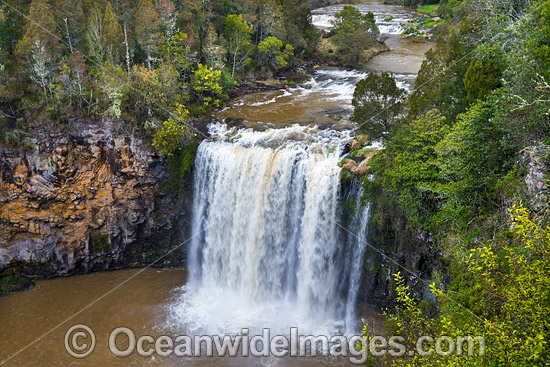 Dangar Falls Dorrigo photo Dangar Falls Dorrigo photo