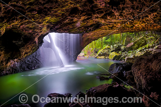 Natural Bridge Springbrook photo Natural Bridge Springbrook photo