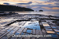 Tessellated Pavement Tasmania Photo - Gary Bell