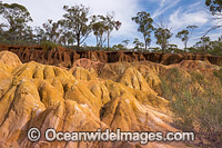 Pink Cliffs Victoria Photo - Gary Bell