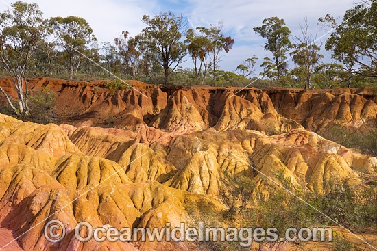 Pink Cliffs Geological Reserve photo