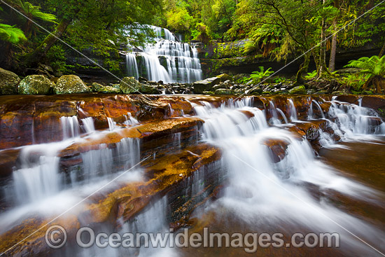 Liffey Falls Tasmania photo