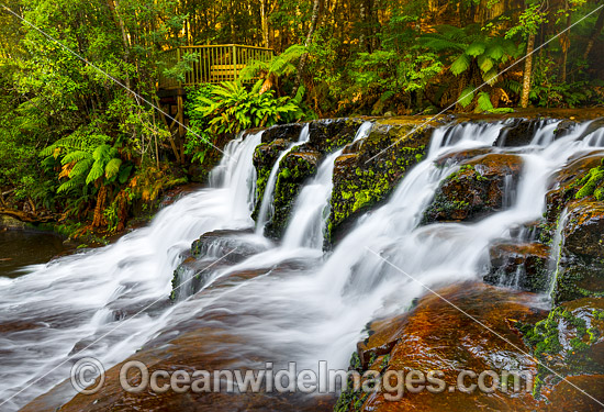 Liffey Falls Tasmania photo