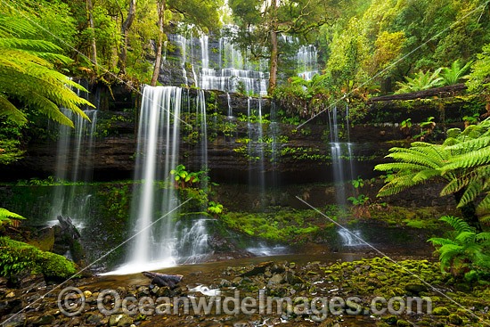 Russell Falls, situated in Mount Field National Park, Tasmania, Australia. Photo - Gary Bell