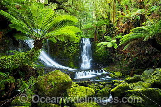 Horseshoe Falls Mount Field photo