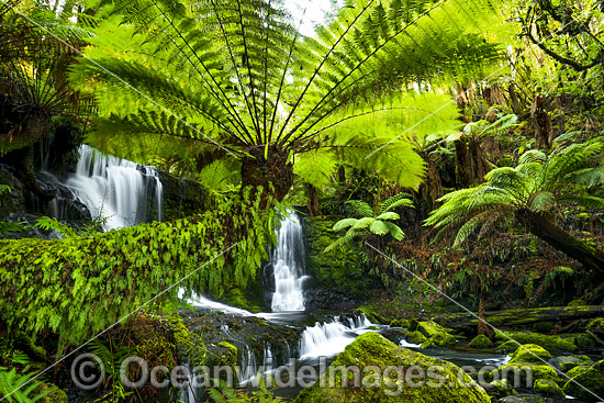 Horseshoe Falls Mount Field National Park photo