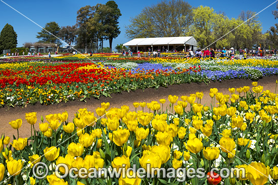 Floriade Festival Canberra photo