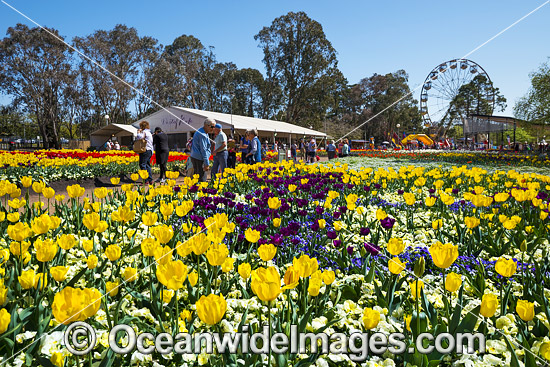 Floriade Festival Canberra photo