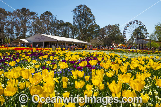 Floriade Festival Canberra photo