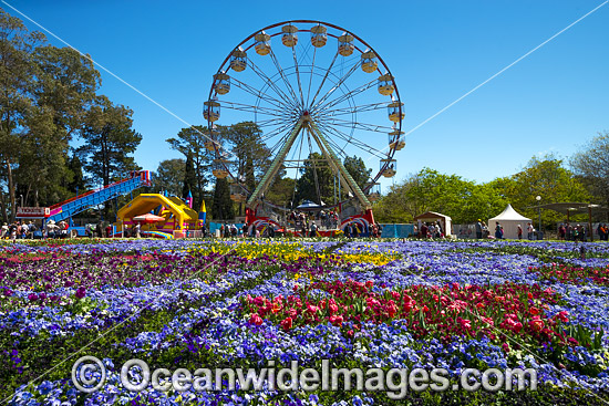 Floriade Festival Canberra photo Floriade Festival Canberra photo