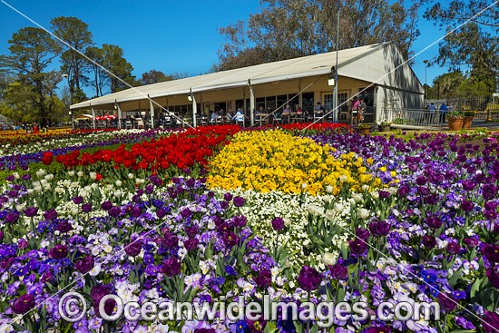 Floriade Festival, Commonwealth Park, Canberra, Australian Capital City, Australia. Floriade is Australia's biggest celebration of Spring that runs each year in Canberra during the months of September and October. Photo - Gary Bell