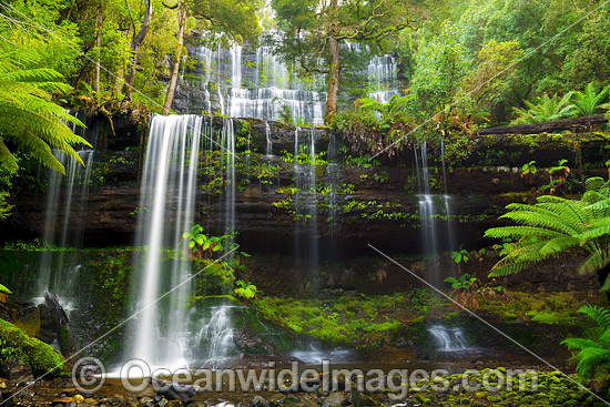 Russell Falls Tasmania photo Russell Falls Tasmania photo