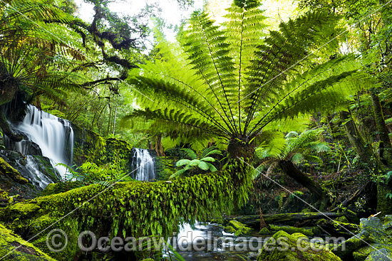 Horseshoe Falls Tasmania photo