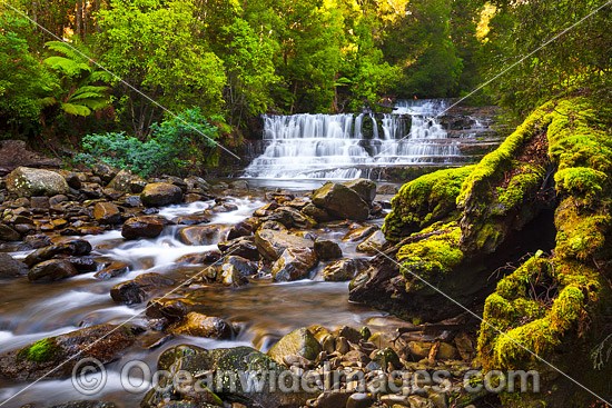 Liffey Falls Tasmania photo Liffey Falls Tasmania photo