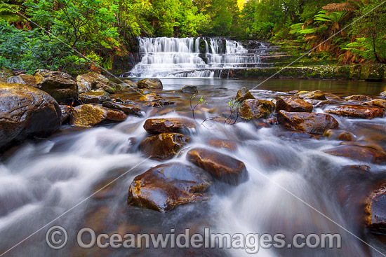 Liffey Falls Tasmania photo Liffey Falls Tasmania photo
