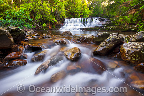 Liffey Falls Tasmania photo