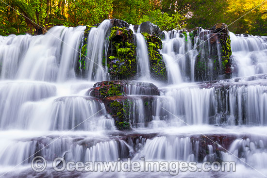 Liffey Falls Tasmania photo