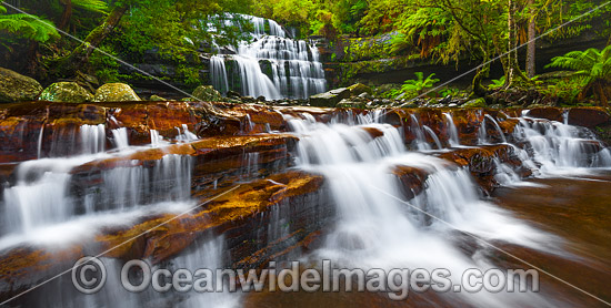 Liffey Falls Tasmania photo