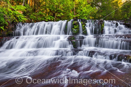 Liffey Falls, one of a series of four distinct tiered cascade waterfalls on the Liffey River, situated in a World Heritage Area in the Midlands region of Tasmania, Australia. Photo - Gary Bell