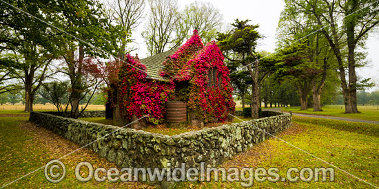 Gostwyck Chapel photo