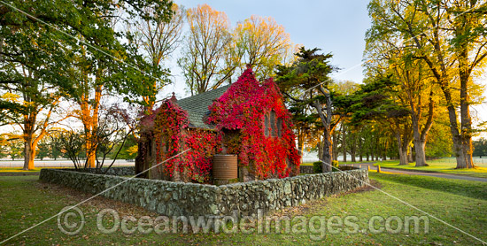 Gostwyck Chapel in Autumn photo