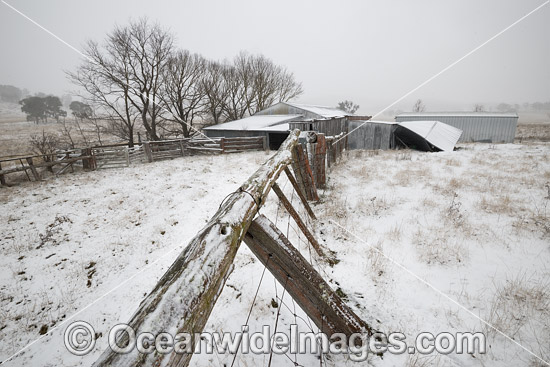 Country wool shed in snow photo