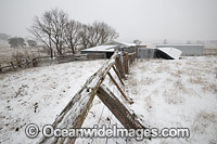 Country wool shed in snow Photo - Gary Bell