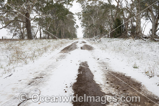 Country road NSW photo