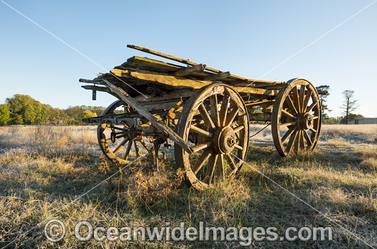 Old Bullock Dray photo Old Bullock Dray photo