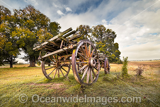 Old Bullock Dray photo Old Bullock Dray photo