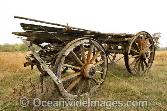 Old Bullock Dray photo