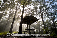 Eucalypt forest and picnic table Photo - Gary Bell