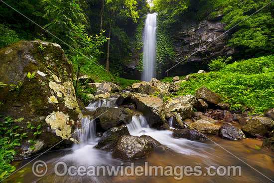 Crystal Shower Falls Dorrigo photo