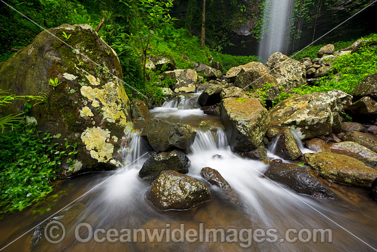 Crystal Shower Falls Dorrigo photo