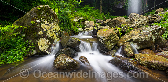 Crystal Shower Falls Dorrigo photo