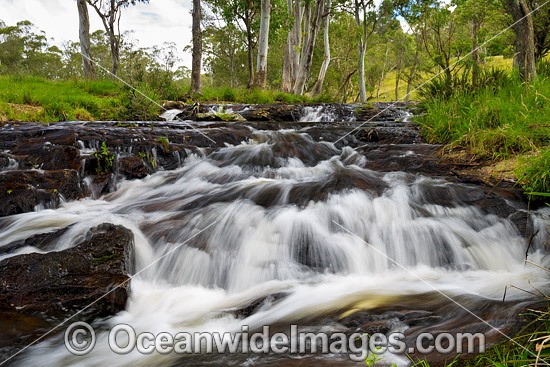 Meldrum Falls, situated on Meldrum Creek. Waterfall Way, Dorrigo High Country, New South Wales, Australia. Photo - Gary Bell