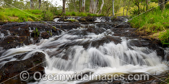 Meldrum Falls Dorrigo photo