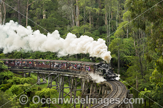 Puffing Billy Belgrave Bridge photo