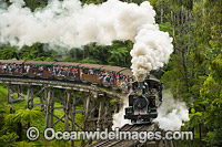 Puffing Billy Belgrave Photo - Gary Bell