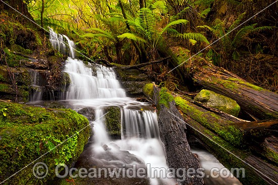 Cascade Falls Mt Wellington photo