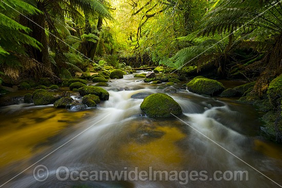 Waterfall Cascade Tasmania photo