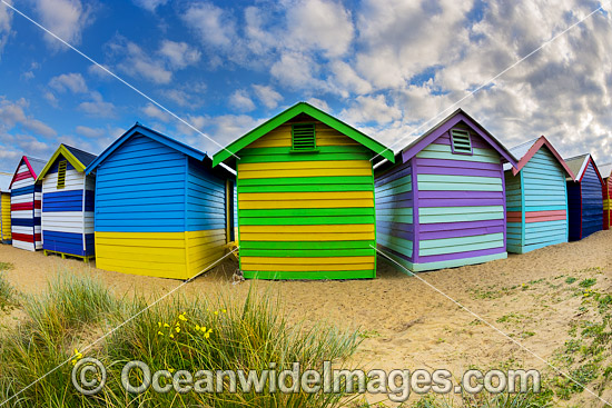Brighton Beach famous bathing boxes, or boatsheds, situated on Brighton beach near Melbourne. Port Phillip Bay, Victoria, Australia. Photo - Gary Bell Brighton Beach famous bathing boxes, or boatsheds, situated on Brighton beach near Melbourne. Port Phillip Bay, Victoria, Australia. Photo - Gary Bell