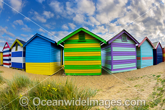 Brighton Beach Boatsheds photo