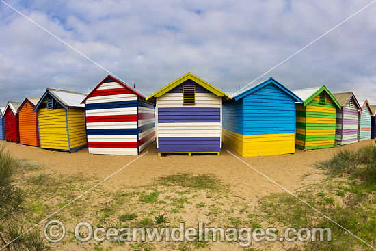 Brighton Beach famous bathing boxes, or boatsheds, situated on Brighton beach near Melbourne. Port Phillip Bay, Victoria, Australia. Photo - Gary Bell Brighton Beach famous bathing boxes, or boatsheds, situated on Brighton beach near Melbourne. Port Phillip Bay, Victoria, Australia. Photo - Gary Bell