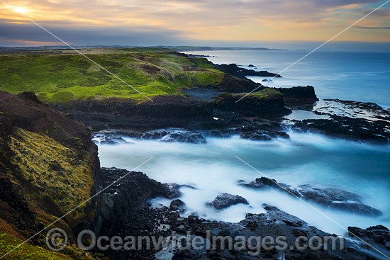 The Nobbies Phillip Island photo