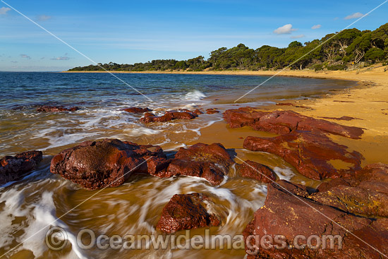 Red Rocks Beach Phillip Island photo