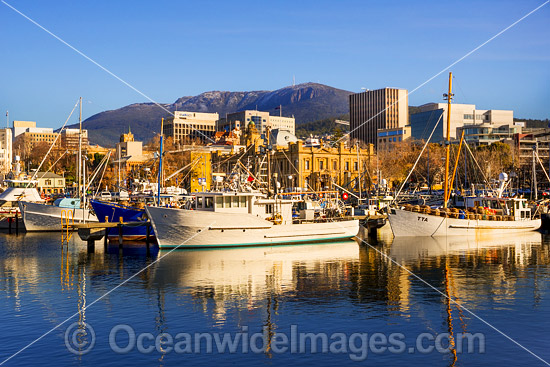 Constitution Dock Hobart Tasmania photo